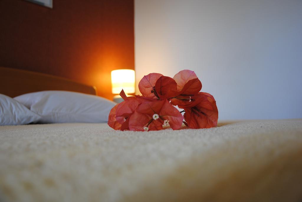 Kukoljac Appartement *